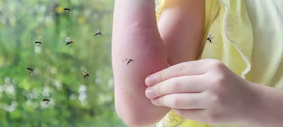 DIY Mosquito Repellent