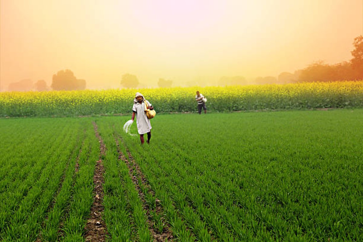 Gujarat Farmers Aid