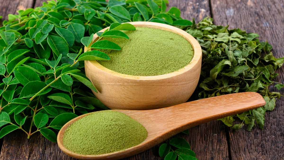 Moringa Powder Benefits