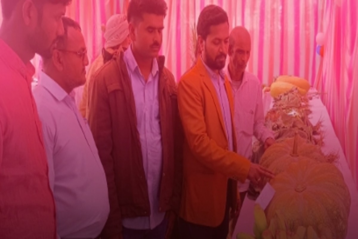 Farmer Fair Showcases