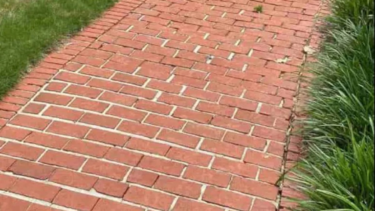Optical Illusion