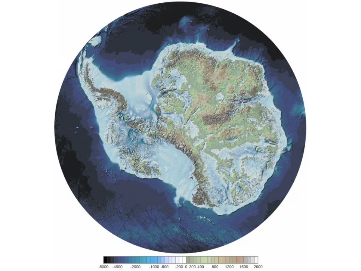 Antarctica Surprised To Know