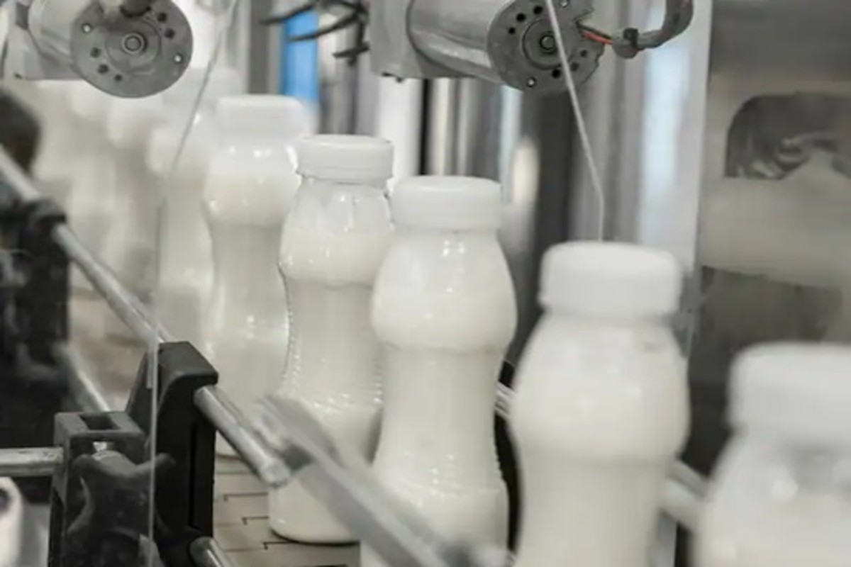 Dairy business