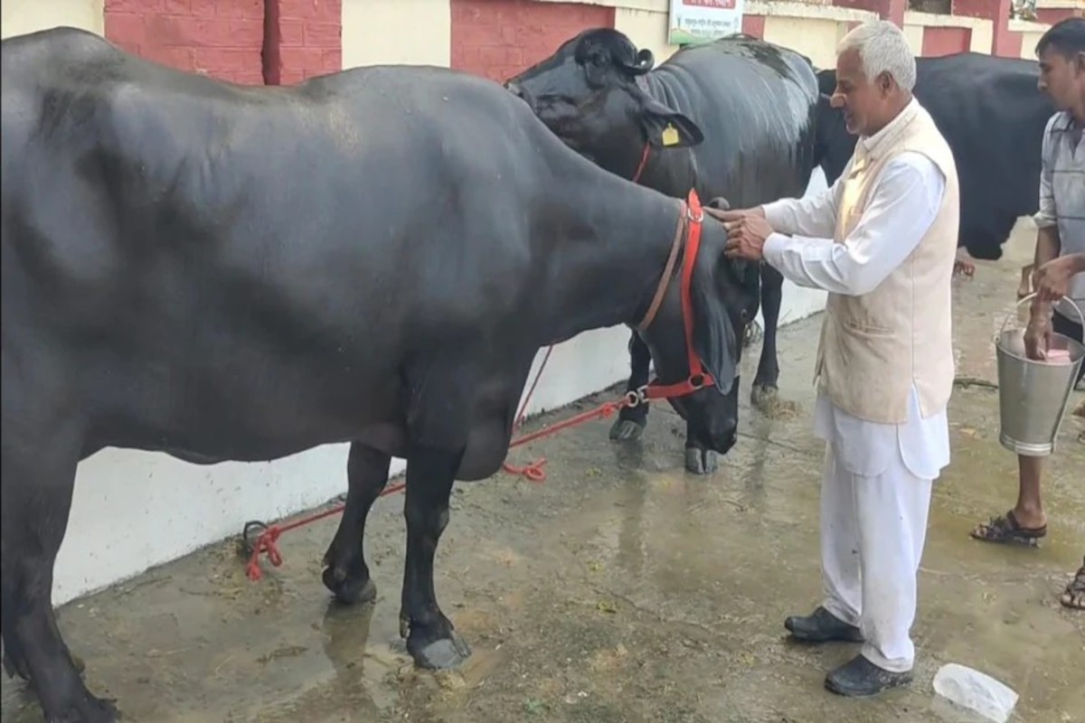 Dairy Conference