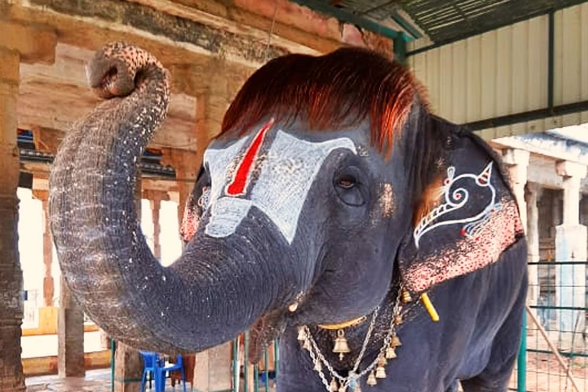 Tamil Nadu
