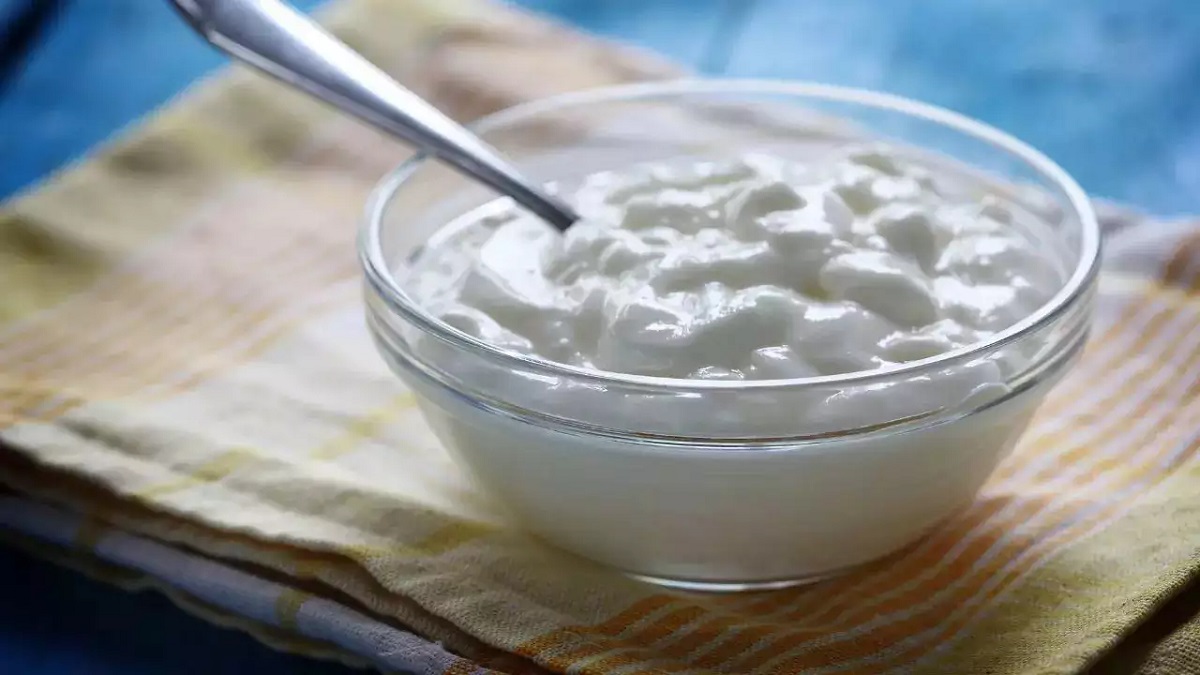 Curd Storing Tips
