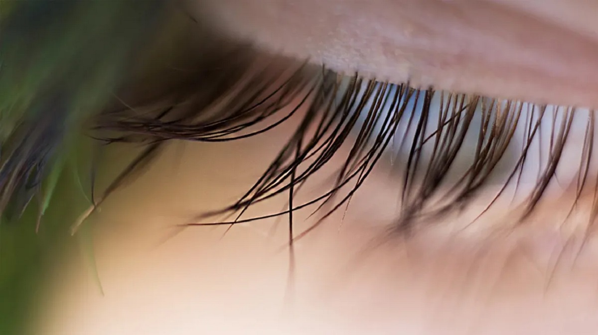Eyelashes Care