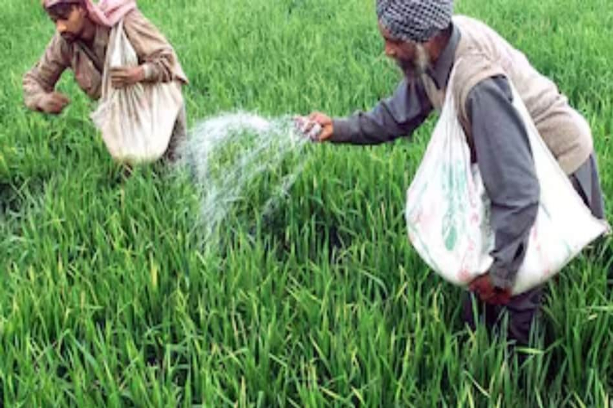 Fertilizer Market Boom