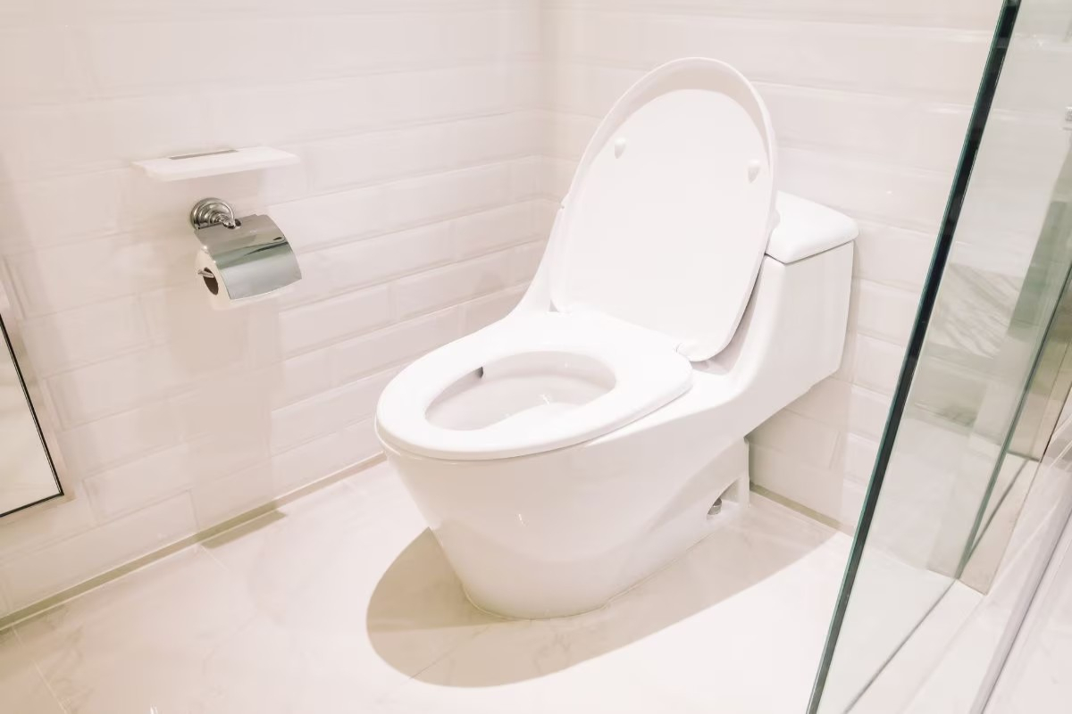 Why Toilet Seats Are White In Colour
