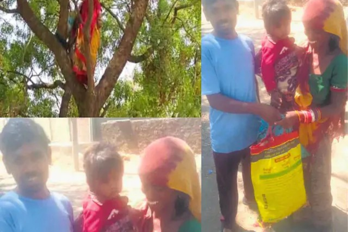 Mother Spent Nights On Tree