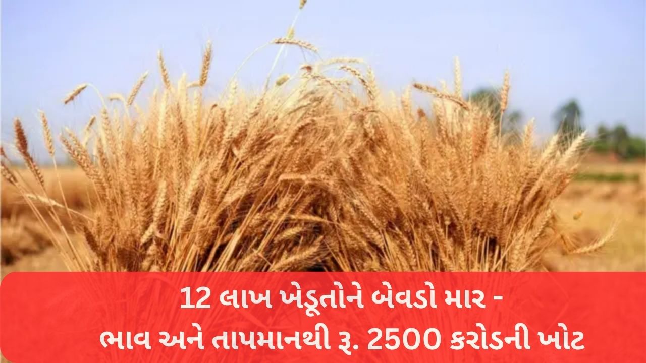 Gujarat