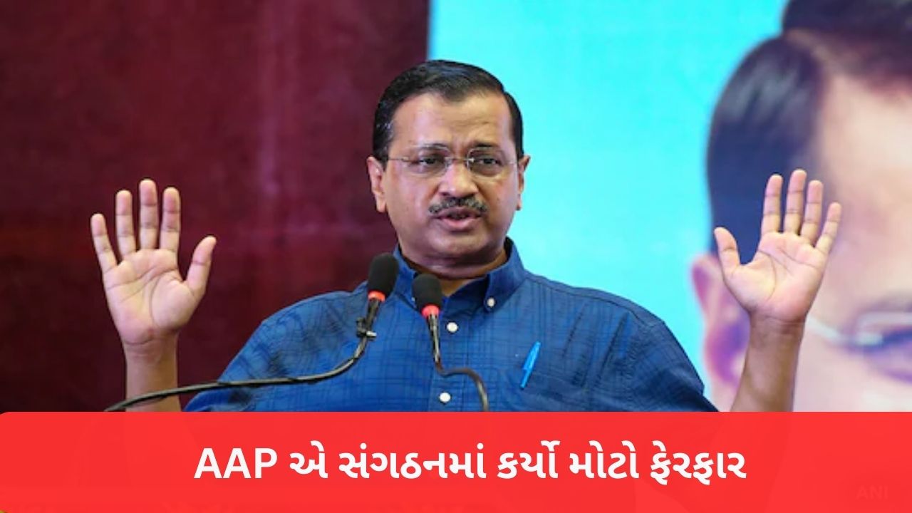 Delhi AAP Meeting