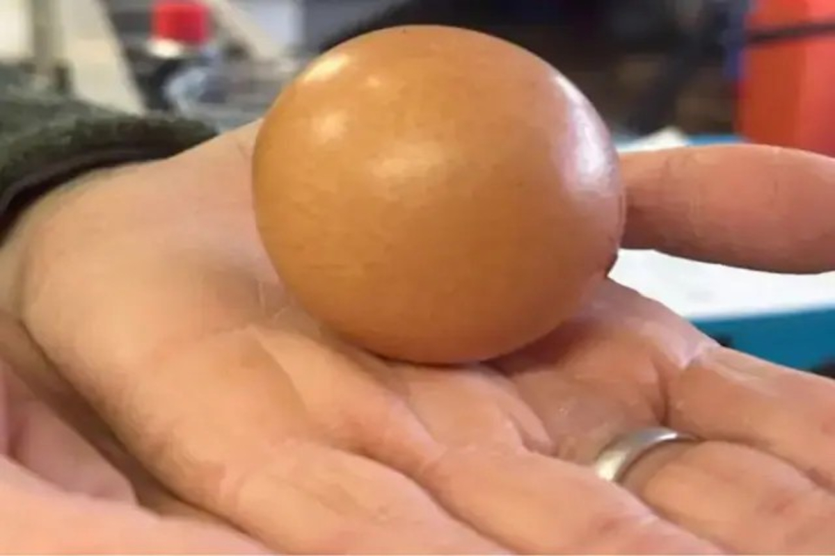 Egg Auction For 43 Thousand Rupees