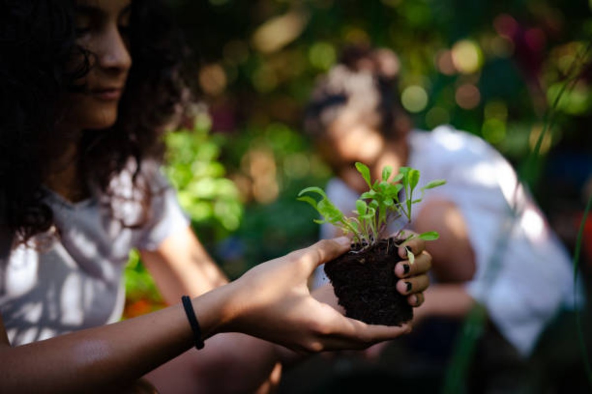 Agriculture Farming Tips