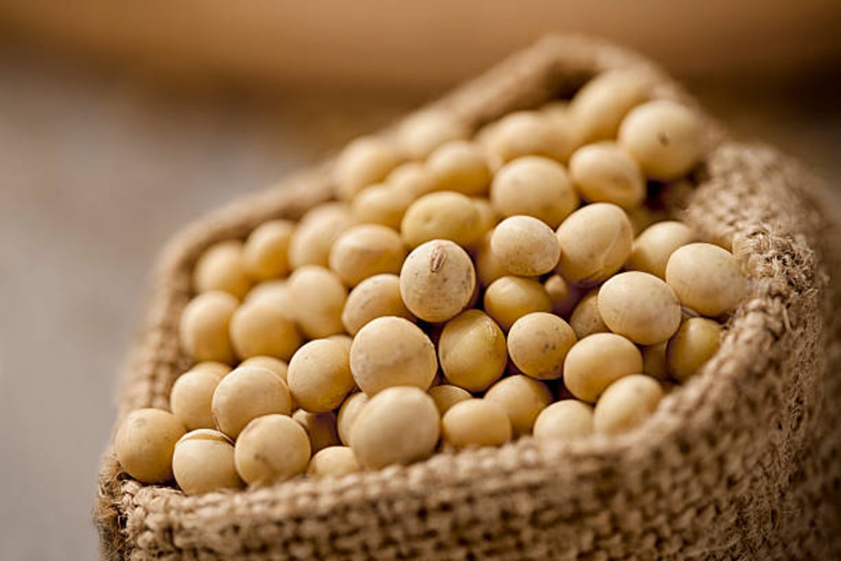 fall in soybean prices