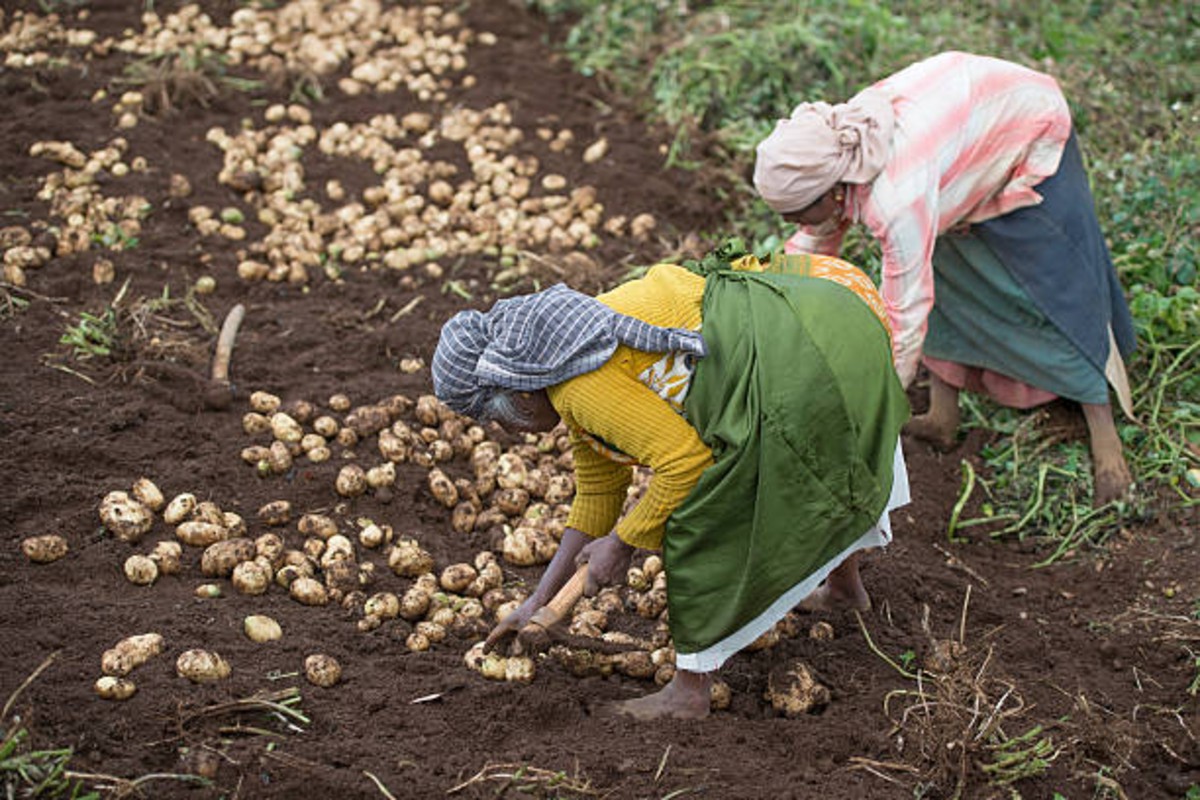 Agriculture and Farming Tips