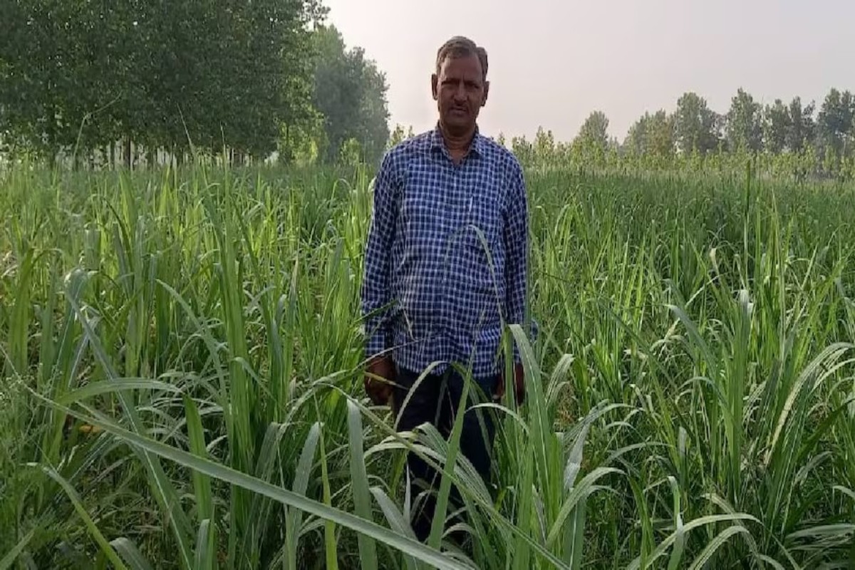 Agriculture News