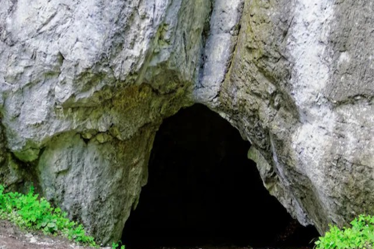 Hid In A Cave For 14 Years To Avoid Jail
