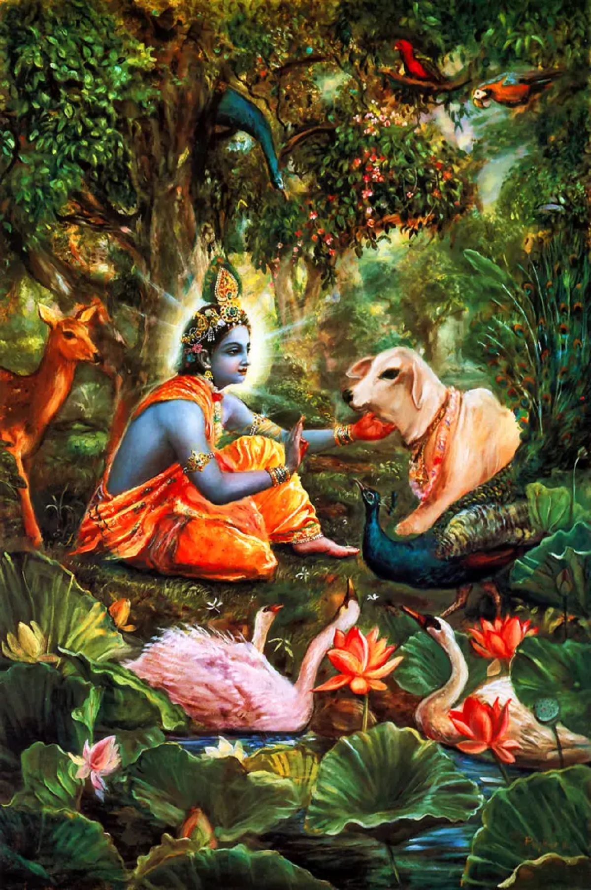 Lord Krishna