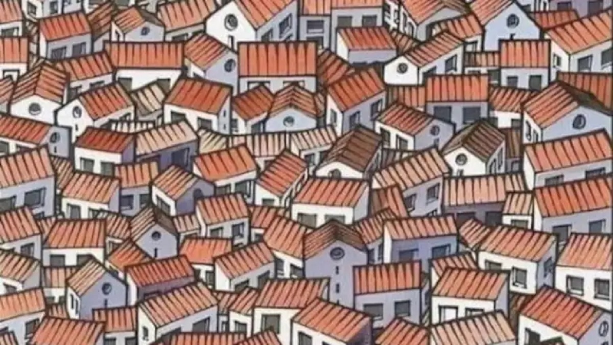 Optical Illusion