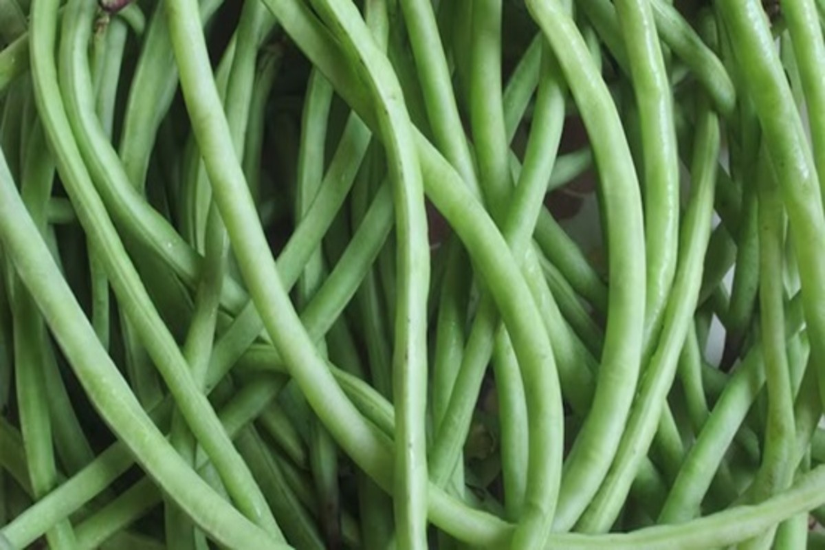 Vegetable Farming