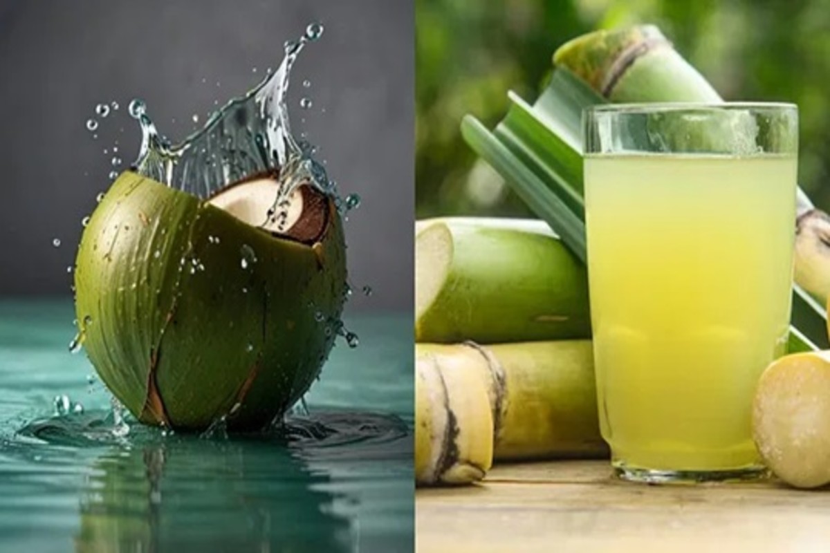 Sugarcane Vs Coconut
