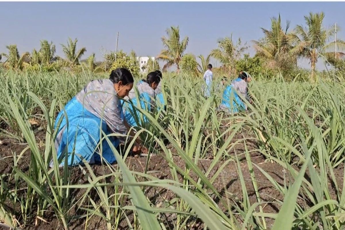 women farmers