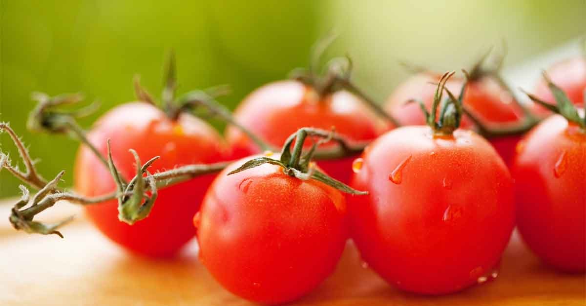 Tomato Side Effects