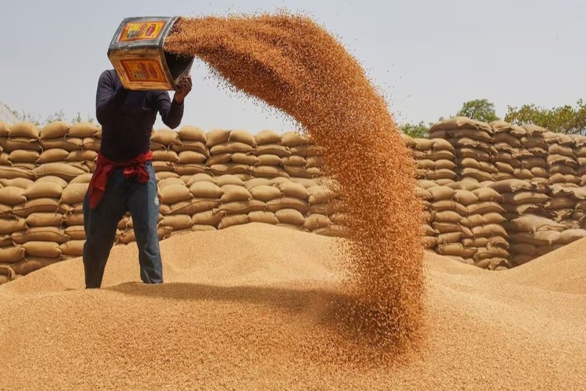 Wheat Price
