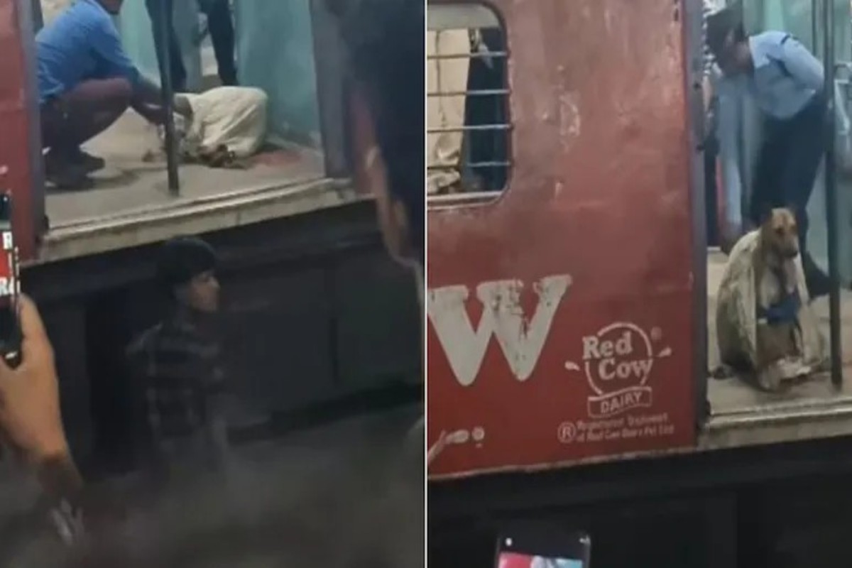 Dog Found In Sack On Train
