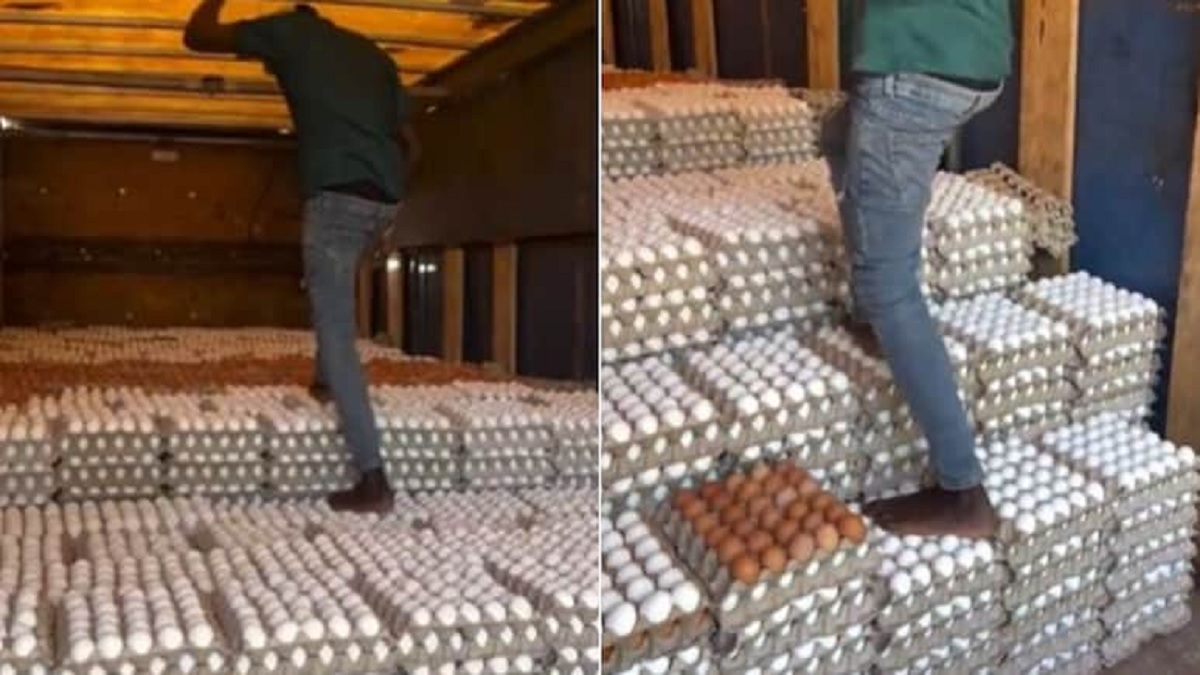 Man Walked On Eggs Video