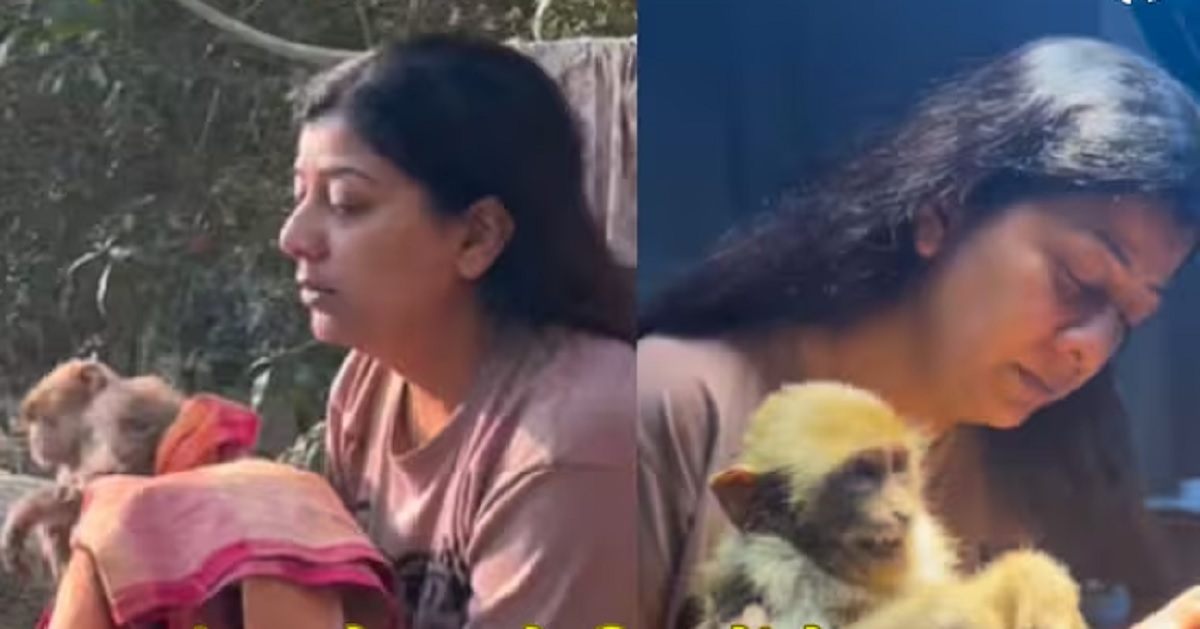 Viral Video