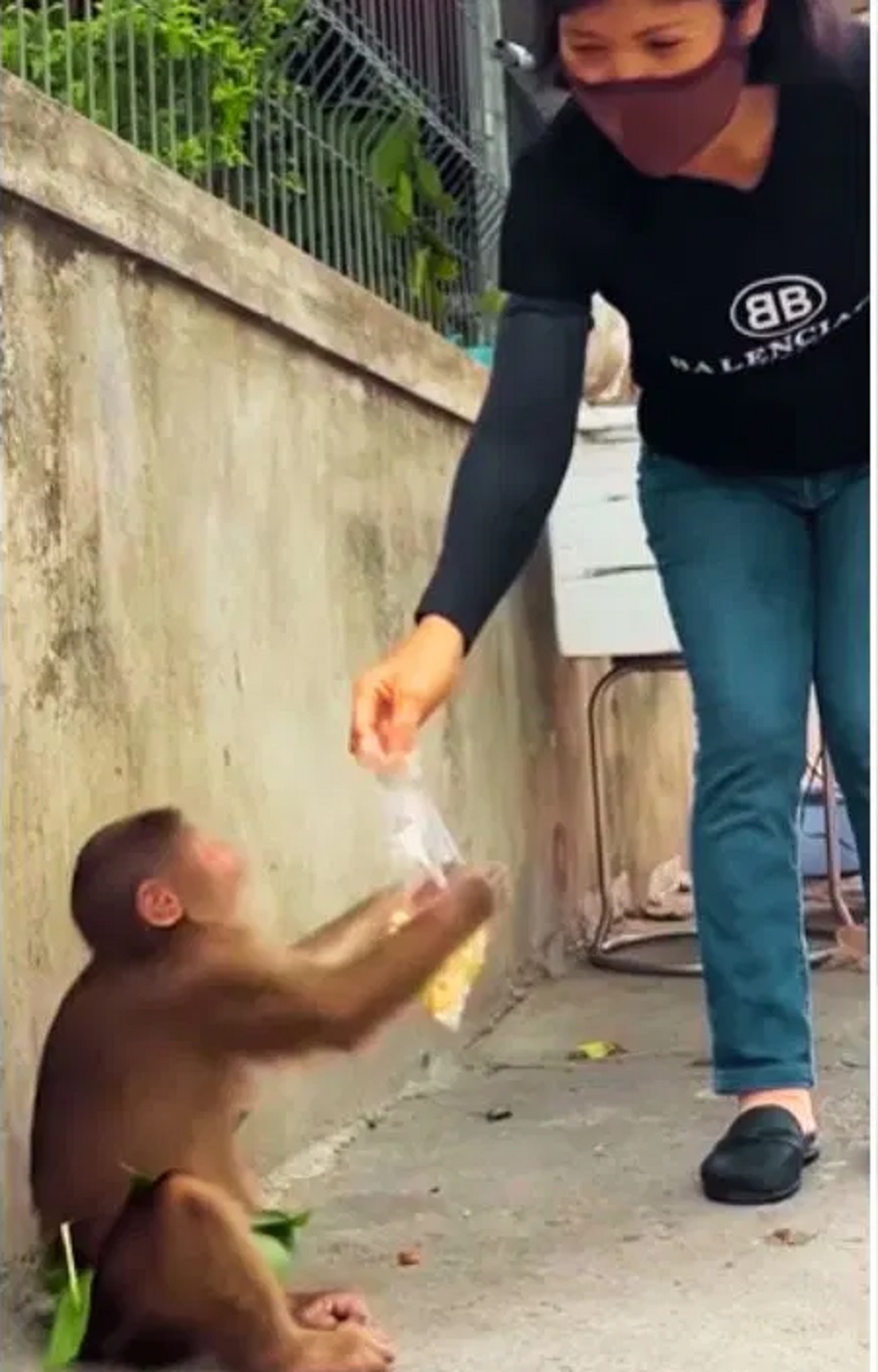 Viral Video