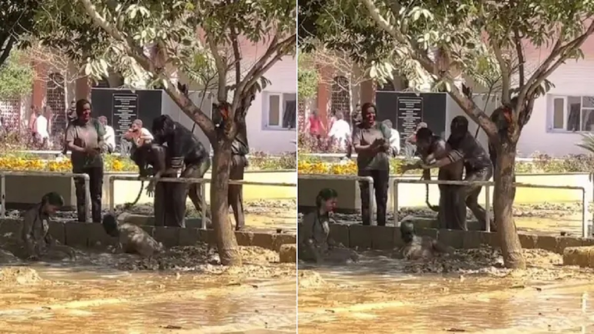 Holi Viral Video