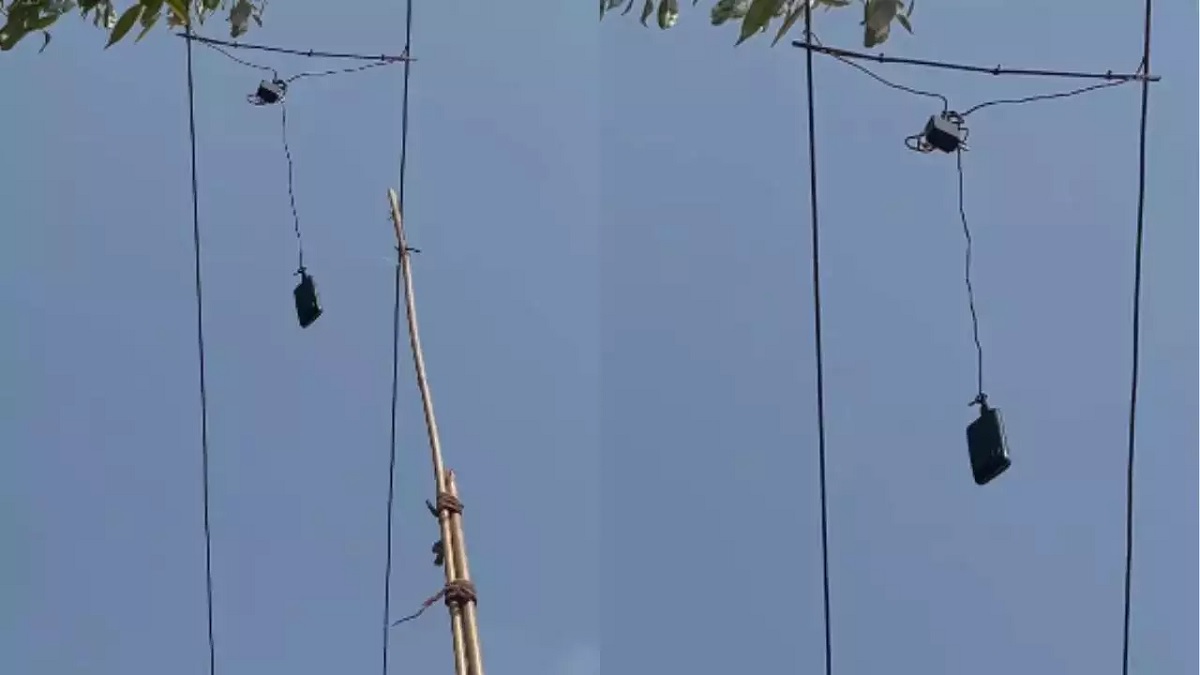 Viral