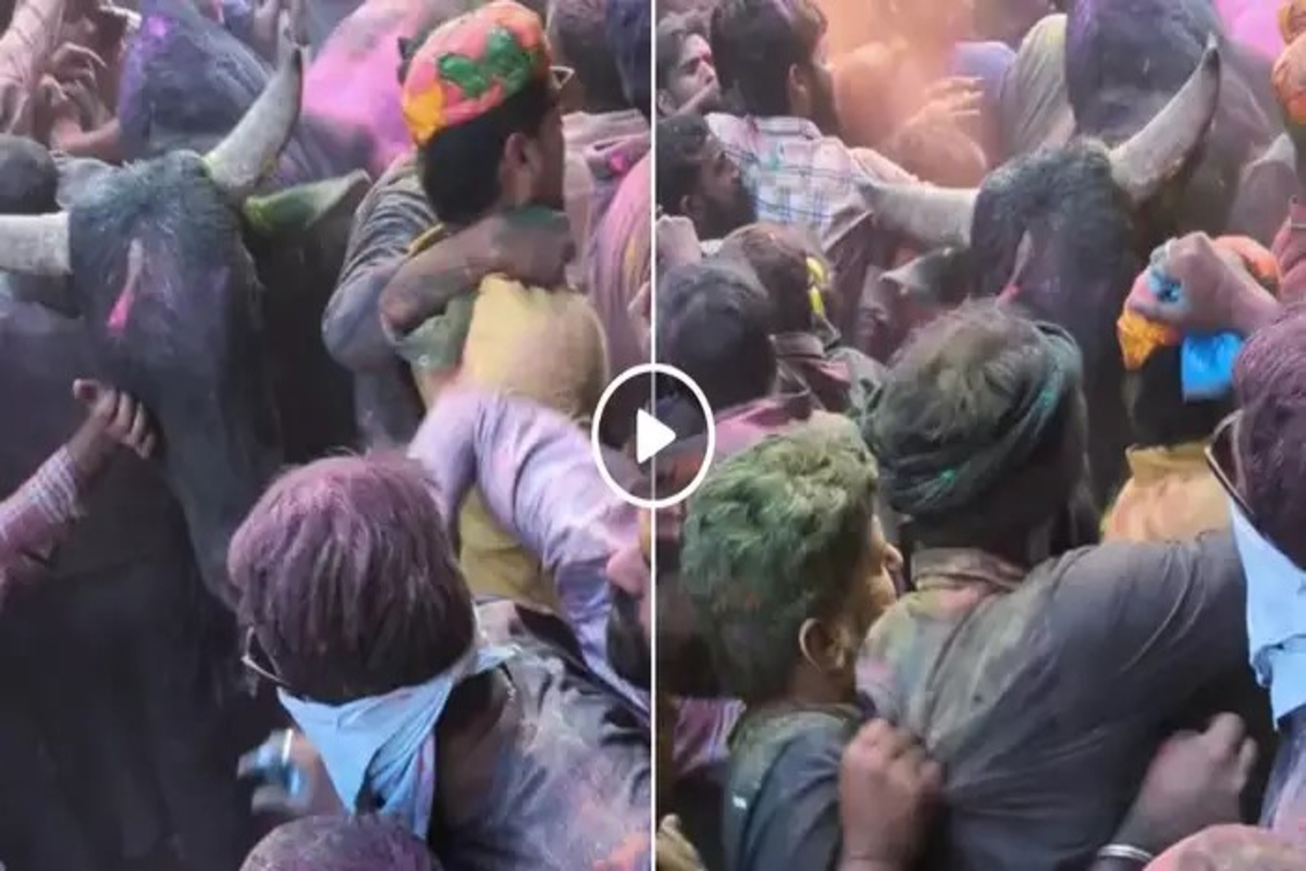 Holi Viral Video