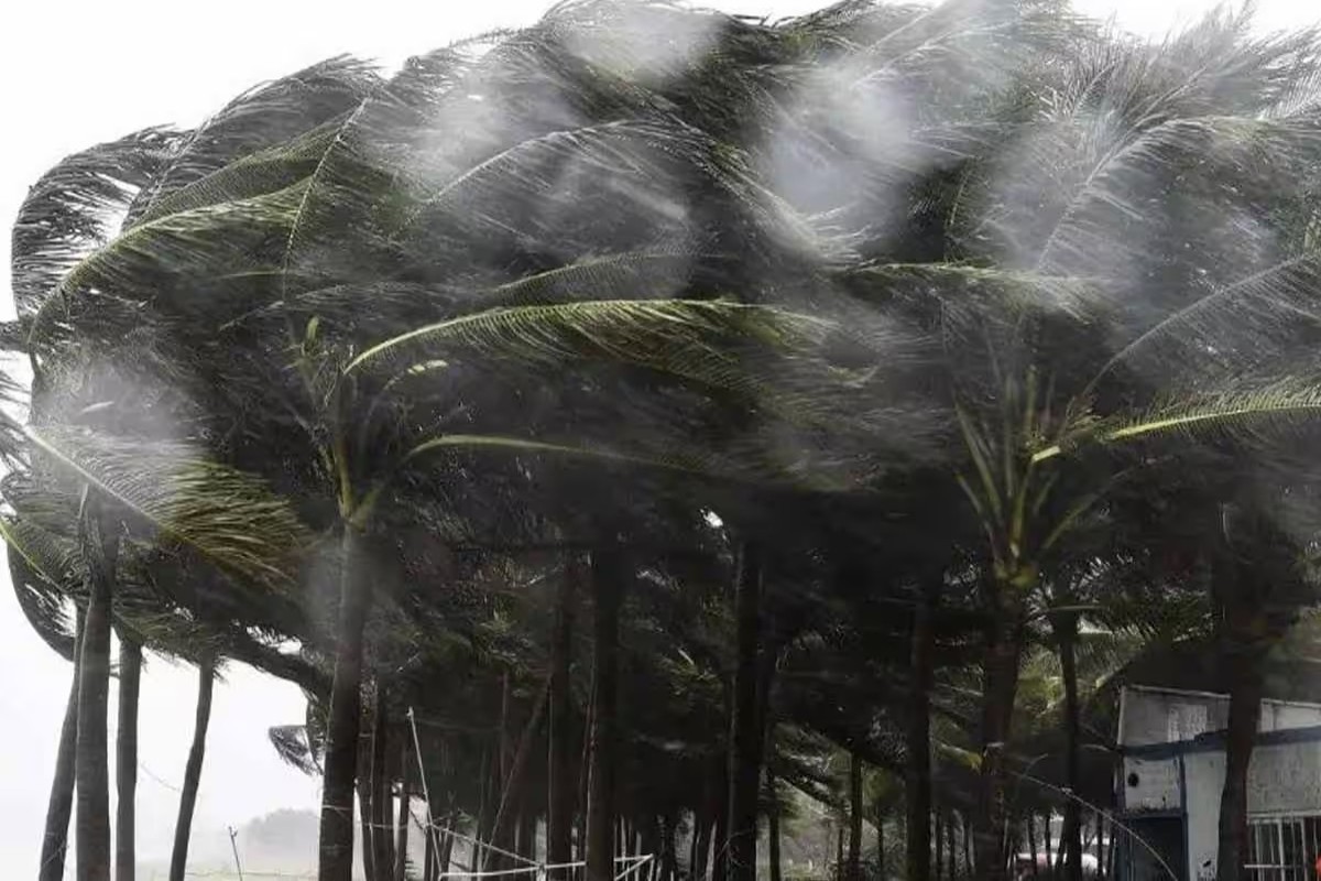 Ambalal Patel Weather Forecast
