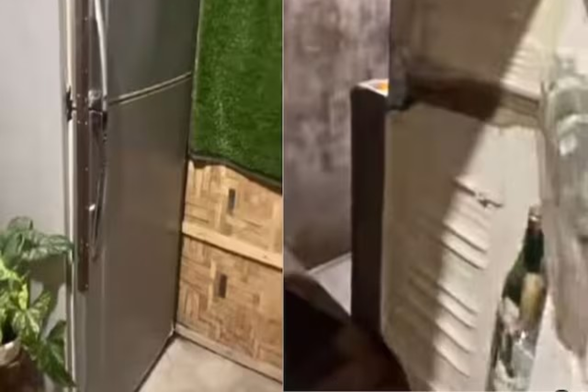 Another World Inside Fridge Video
