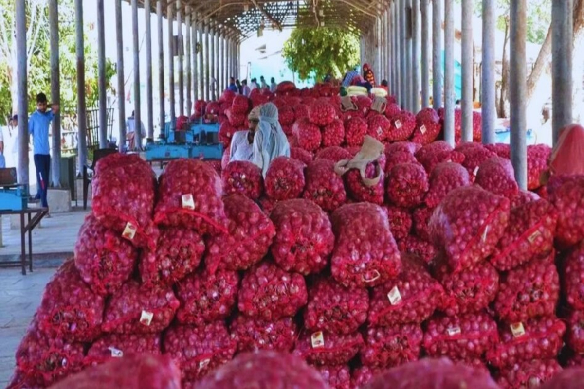 Onion Price