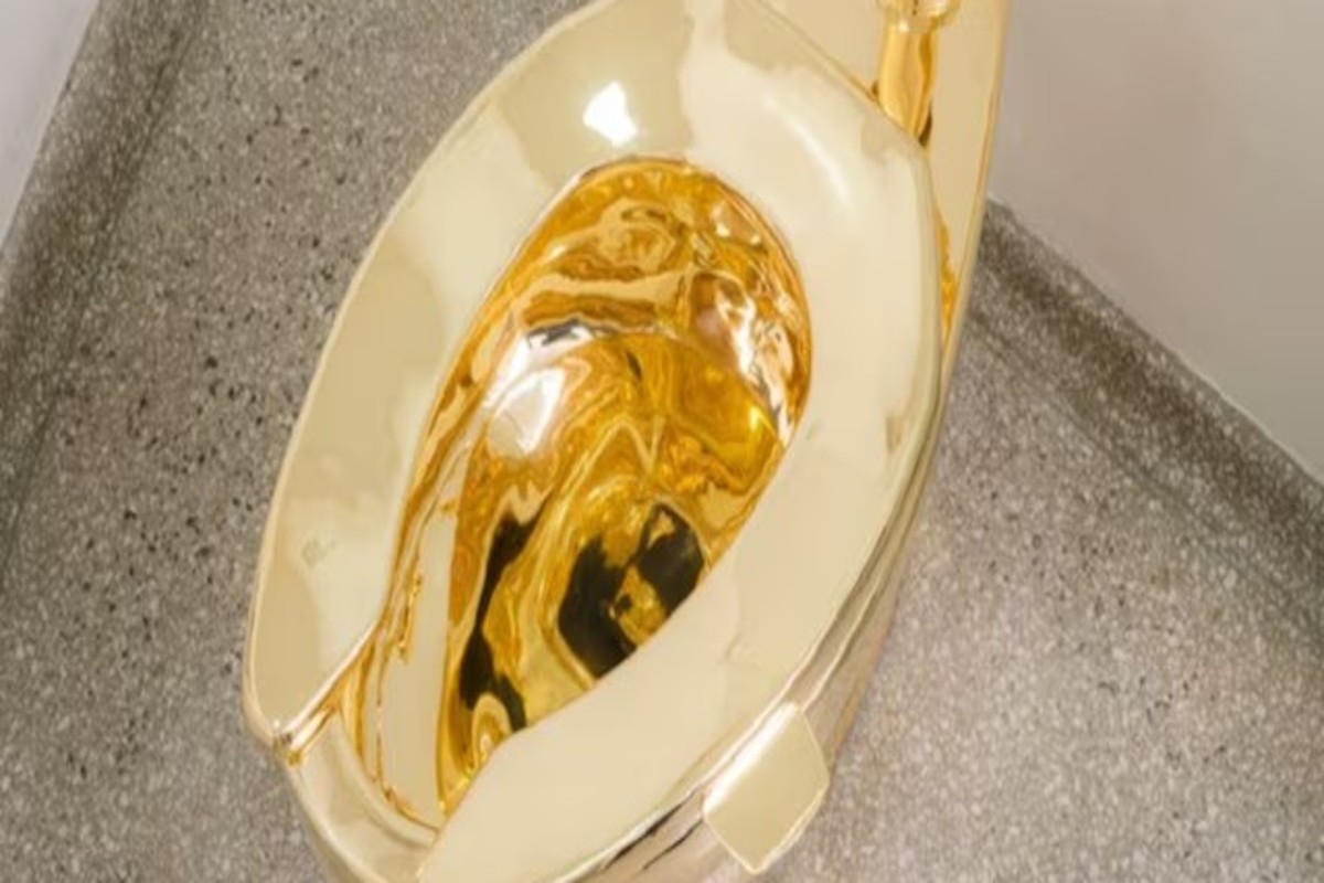 Golden Toilet Stolen In 5 Minutes
