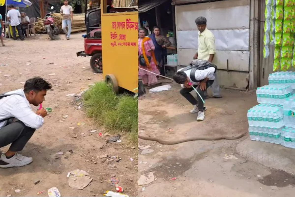 Snake Flute Prank Video