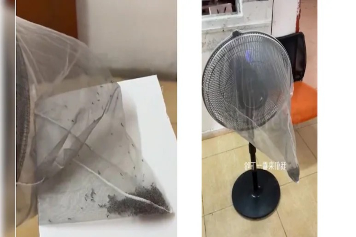 Amazing anti-mosquito device Video