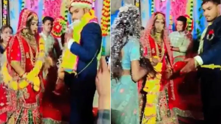 Wedding Fight Video