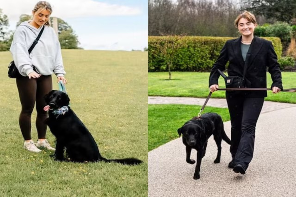 PhD Dropout Becomes Pet Sitter