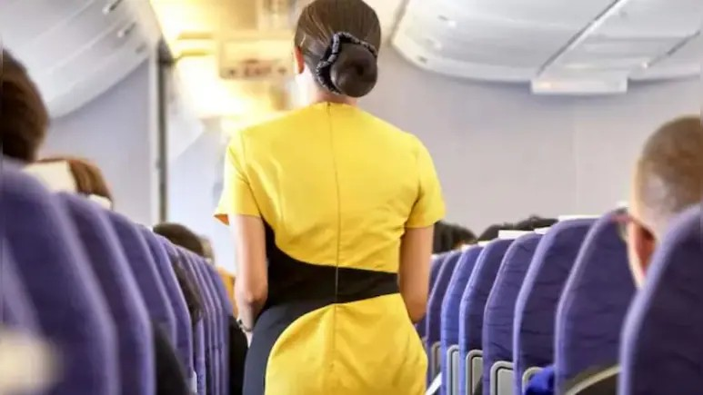 Flight attendant resigns mid-air