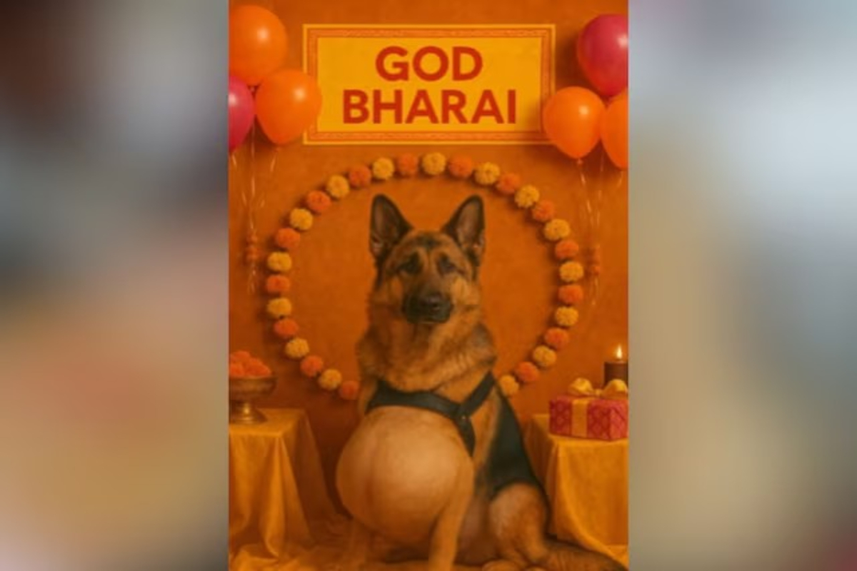 Pet Dogs Baby Shower Video