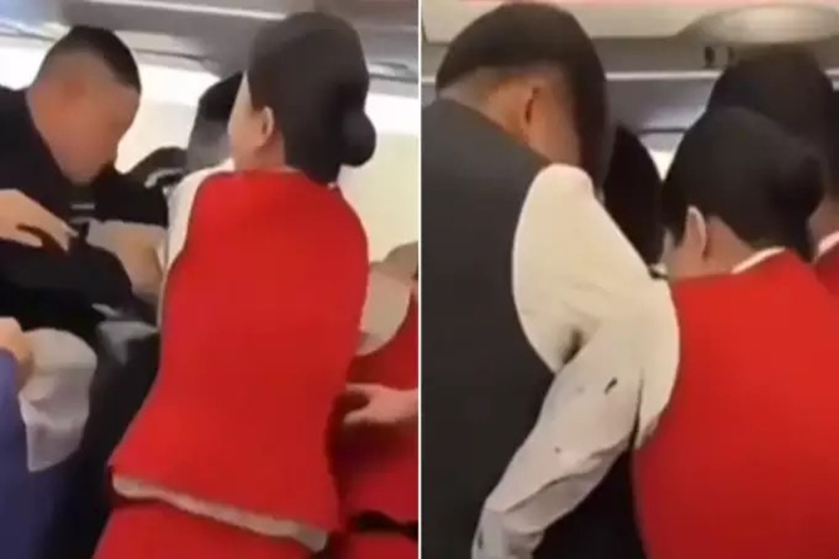 Body Odor Sparks Flight Fight