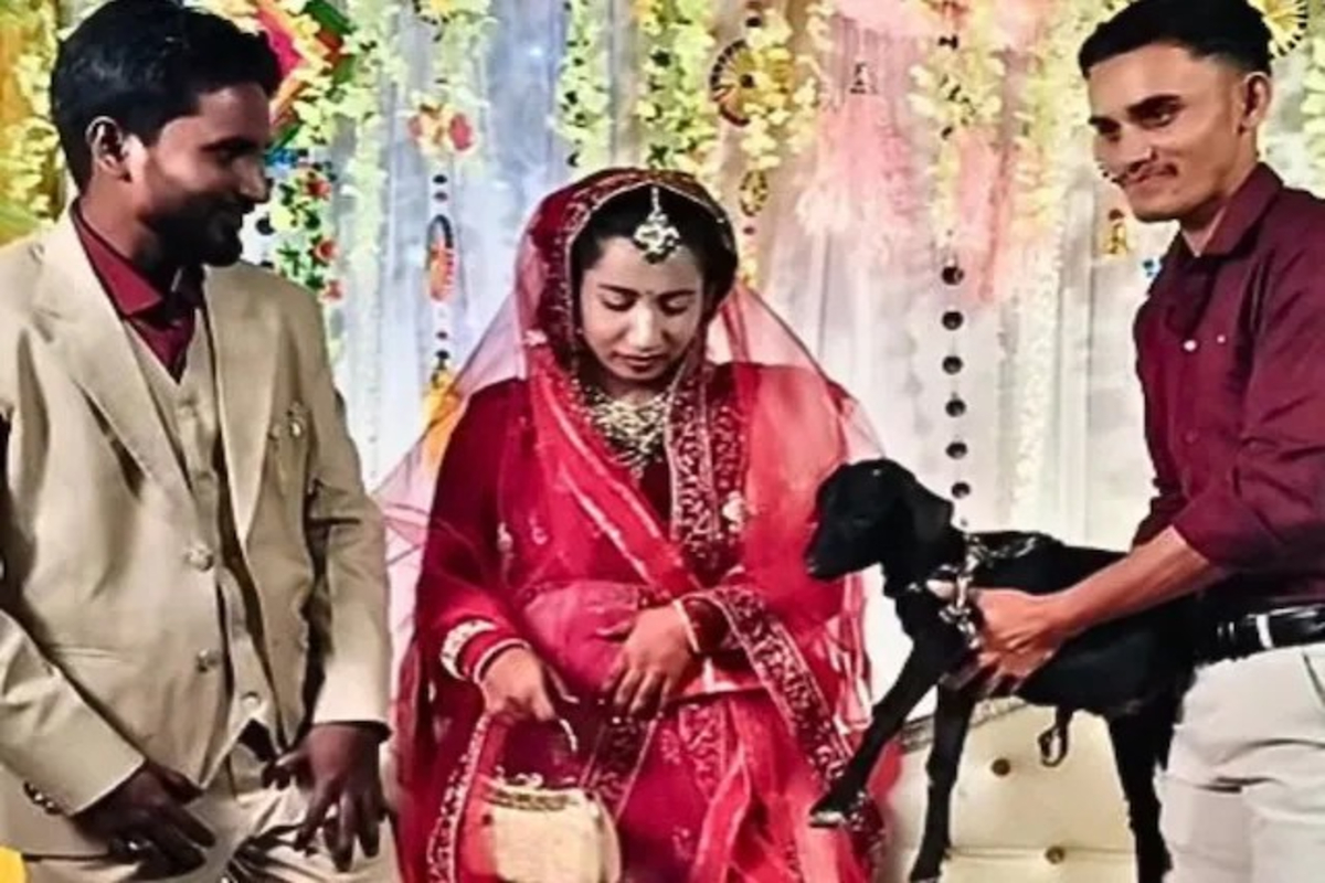 Man gifts goat to bride & groom