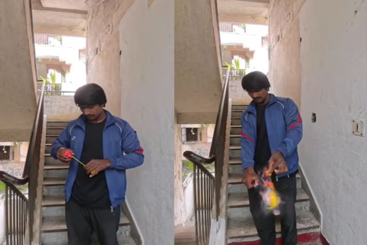 Cockroach Spray & Lighter Experiment Video