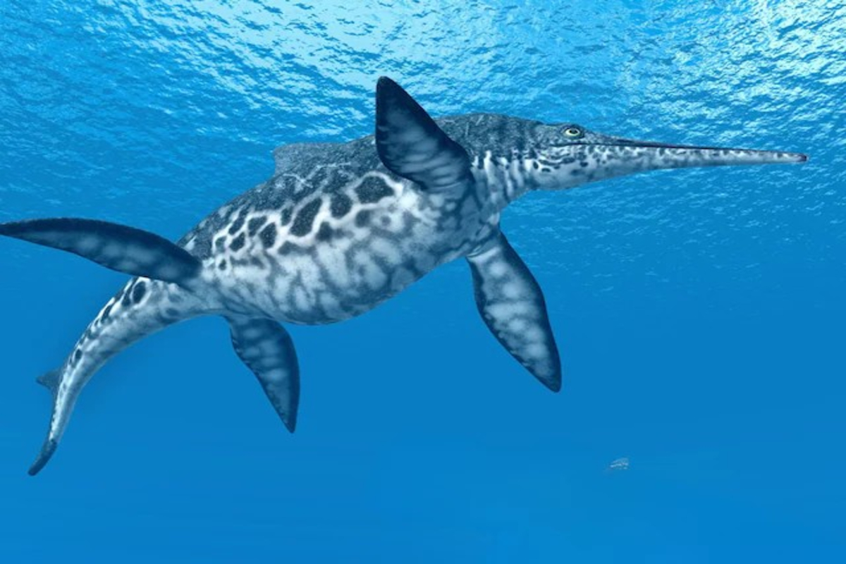 Ancient Pregnant Creature Discovered